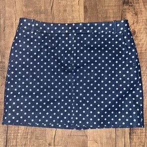 JCrew denim skirt